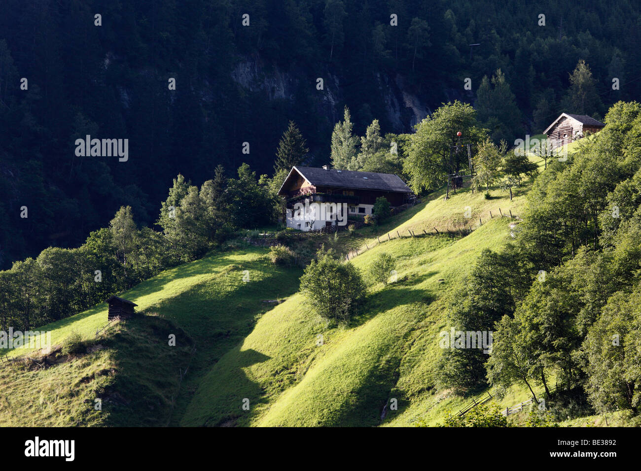 Ferme de montagne en vallée Grossarltal Huettschlag dans la terre, Pongau, Salzburg, Salzbourg, Autriche, Europe Banque D'Images