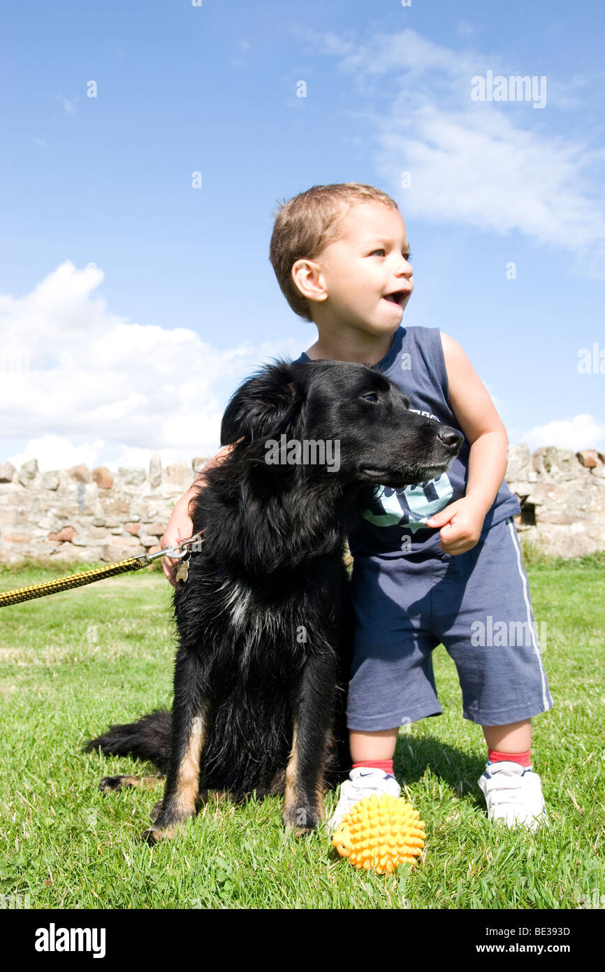 Bébé Garçon jouant avec son animal cross border collie dog outdoors Banque D'Images