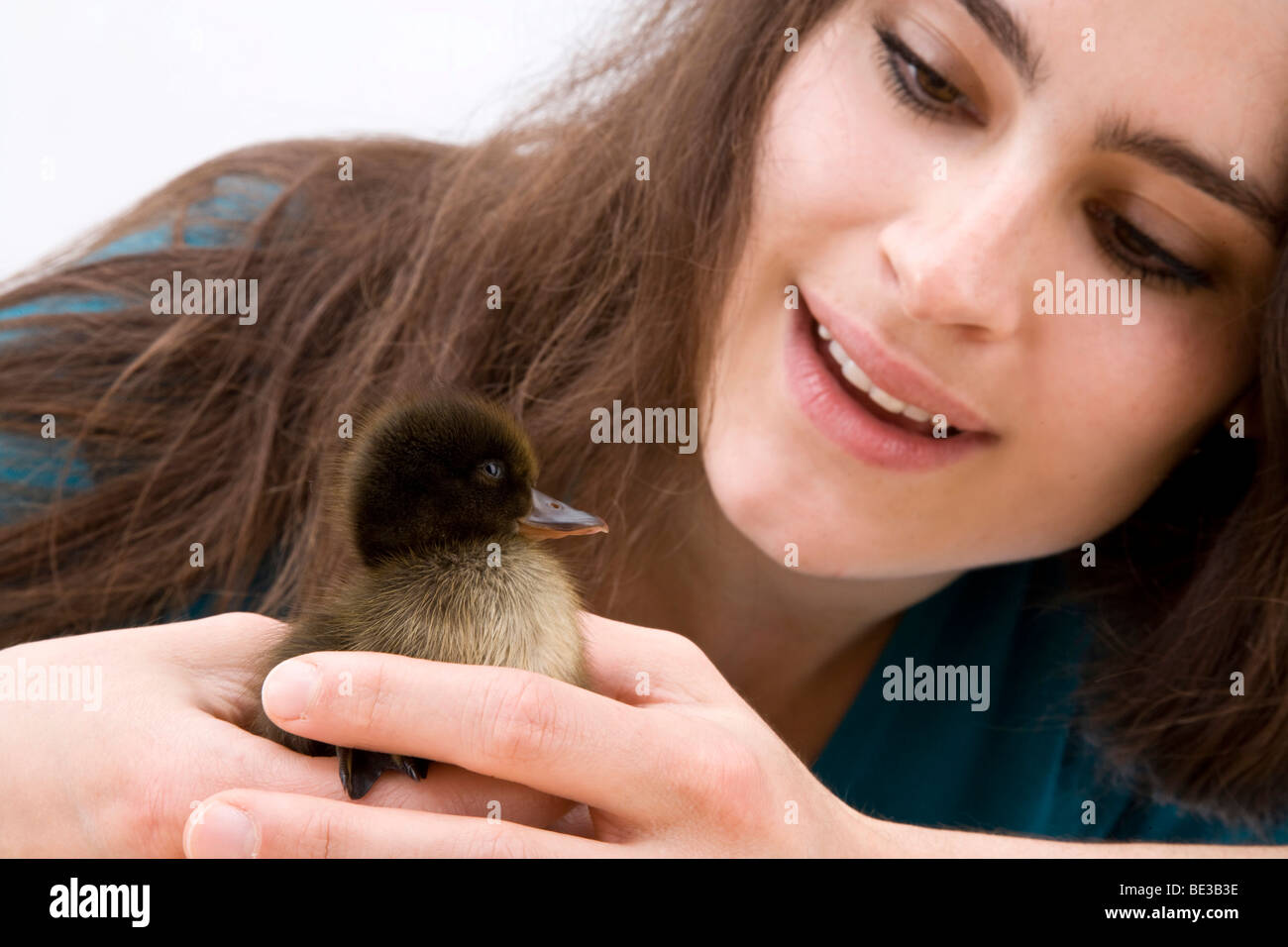 Fille avec un canard, Drake, chick Banque D'Images