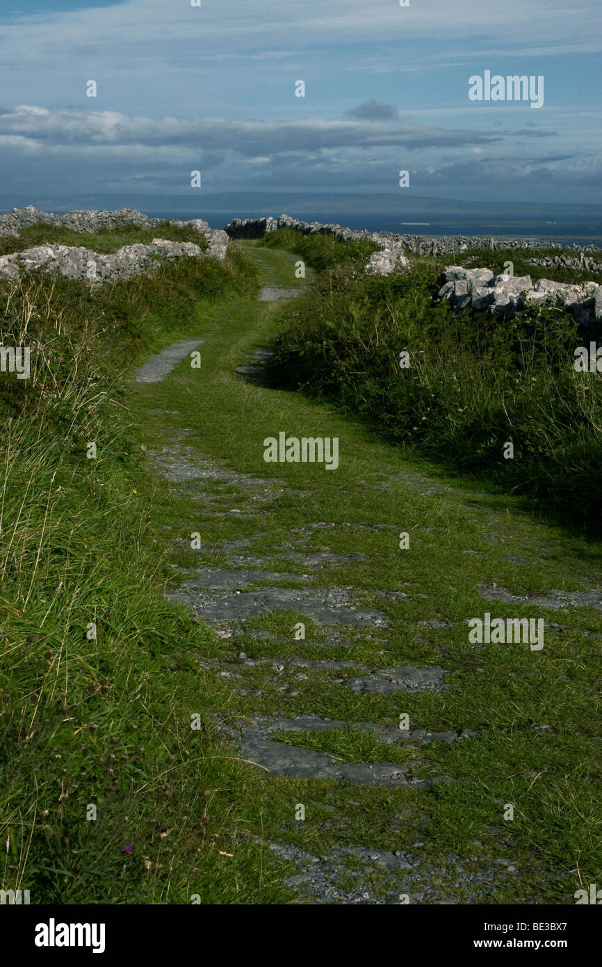 Sentier de pays, l'Inis Mor, les îles d'Aran, Co. de Galway, Irlande Banque D'Images