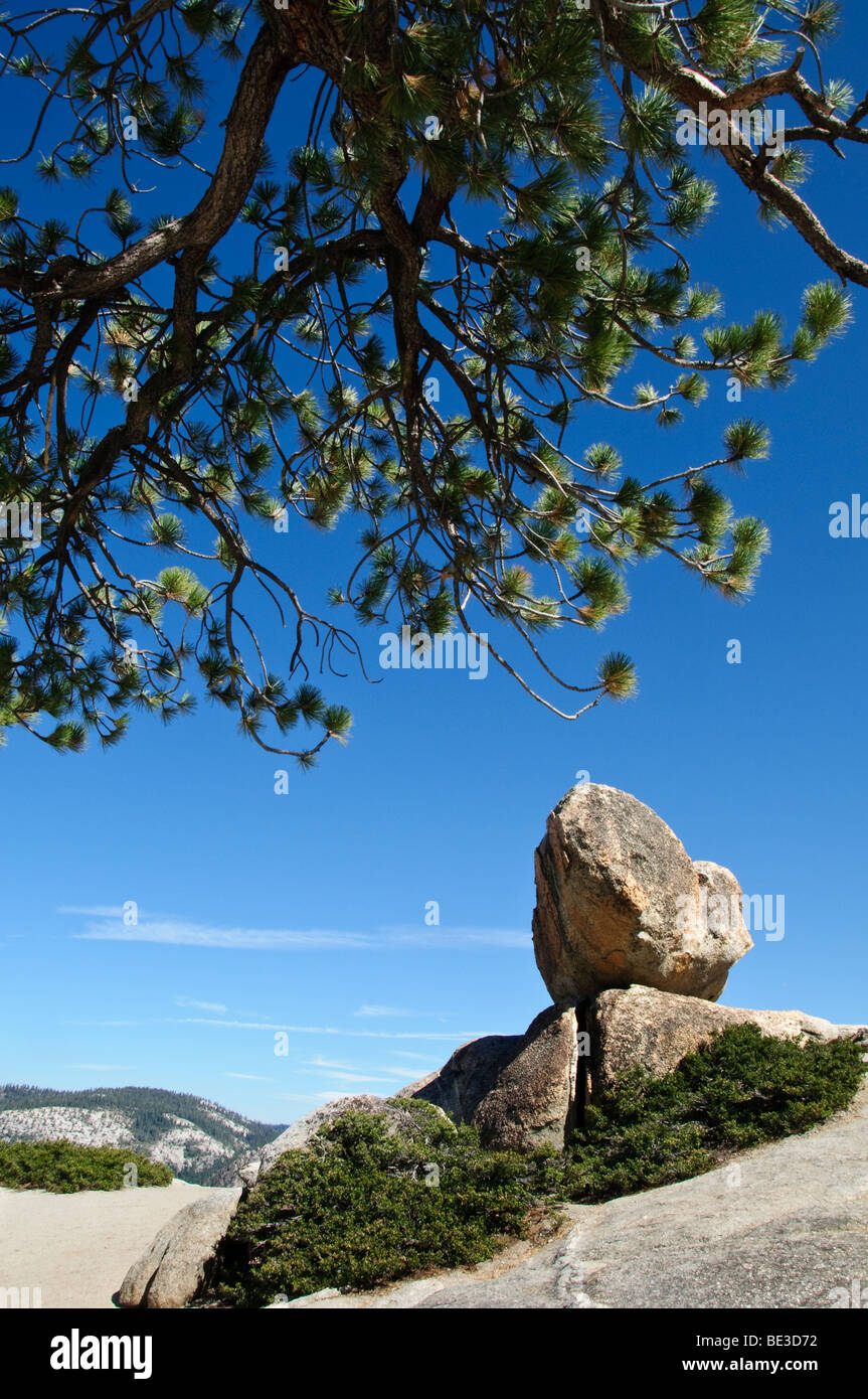 PARC NATIONAL DE YOSEMITE, Californie — le sentier accidenté de Taft point serpente à travers les forêts de pins vers une vue imprenable sur la vallée de Yosemite. Le sentier mène à des vues spectaculaires au bord des falaises, offrant une alternative moins fréquentée aux points de vue populaires et mettant en valeur les impressionnantes formations granitiques et la vaste étendue sauvage du parc. Banque D'Images