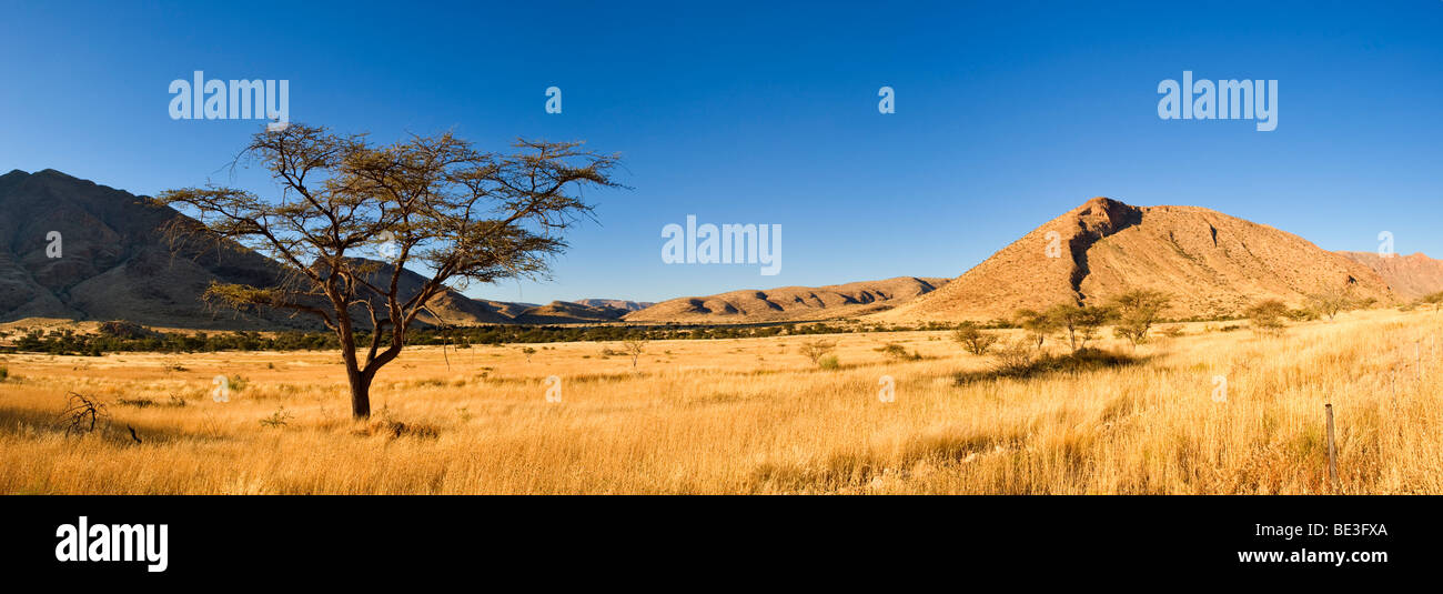 Montagnes Naukluft, Namibie, Afrique Banque D'Images