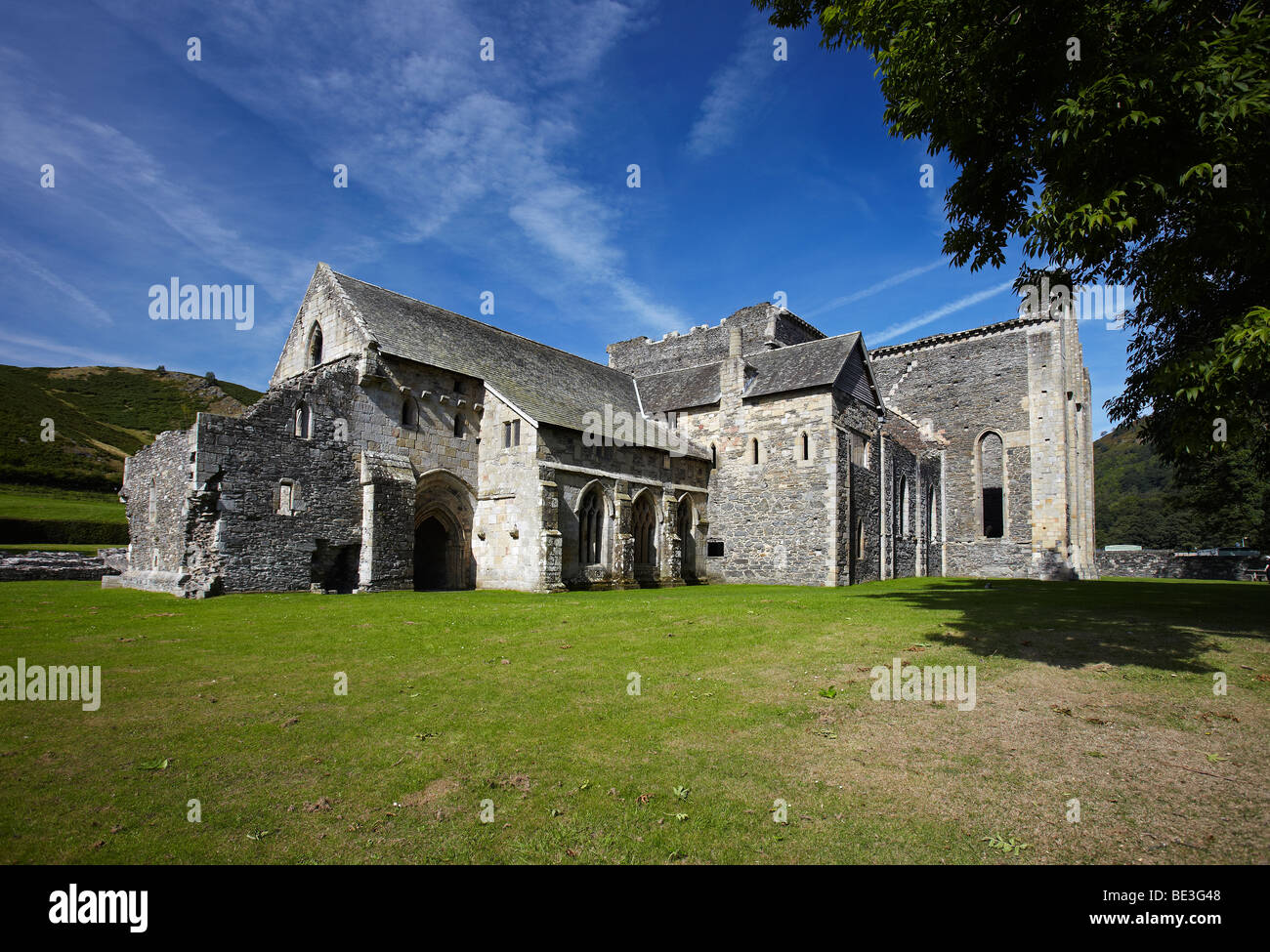 Abbaye Valle Crucis, Llangollen, Wales, UK Banque D'Images