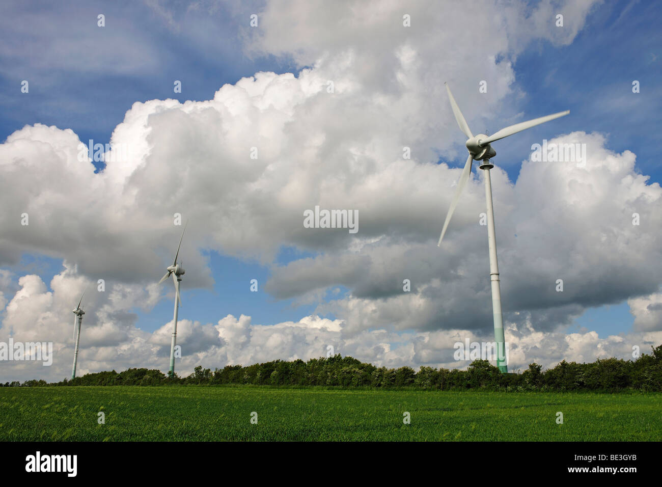 Transformer les éoliennes l'énergie éolienne en électricité, Schleswig Holstein, Allemagne, Europe Banque D'Images