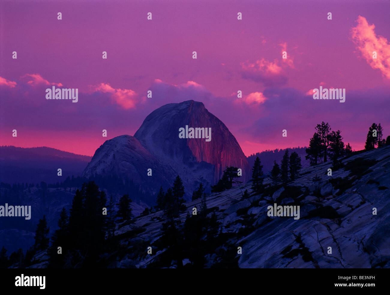 Halfdome Mountain dans le coucher du soleil, Yosemite National Park, California, USA, Amérique du Nord Banque D'Images