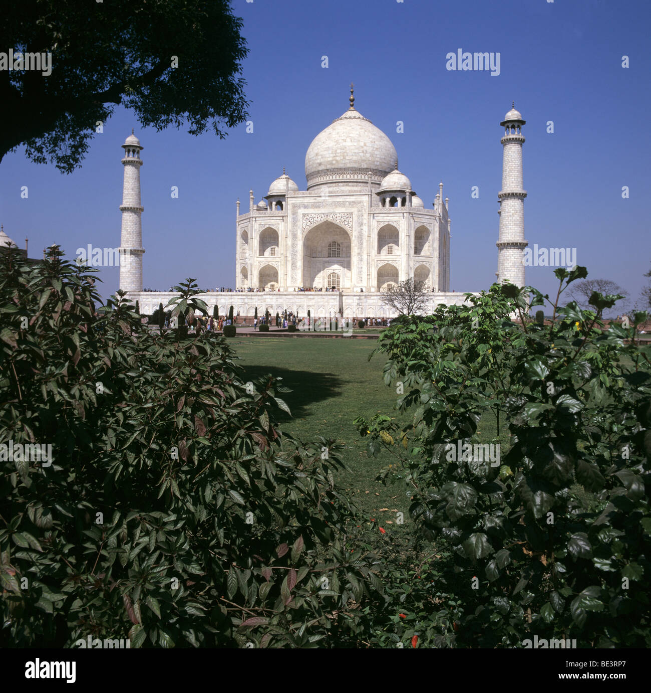 Low Angle shot du Taj Mahal en Inde Banque D'Images