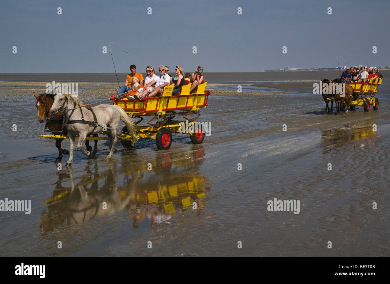 Allemagne, Basse-Saxe, Mer du Nord, les touristes traversent les vasières de l'île de Neuwerk à Cuxhaven en voitures à cheval à marée basse Banque D'Images
