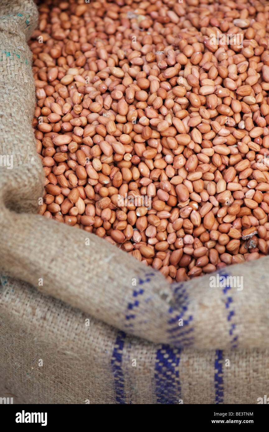 Sac d'arachides décortiquées sur un étal du marché indien. L'Andhra Pradesh, Inde Banque D'Images