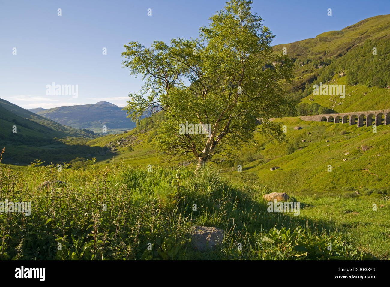 Glen Ogle, Lochearnhead, Stirlingshire, Scotland, Juin, 2009 Banque D'Images
