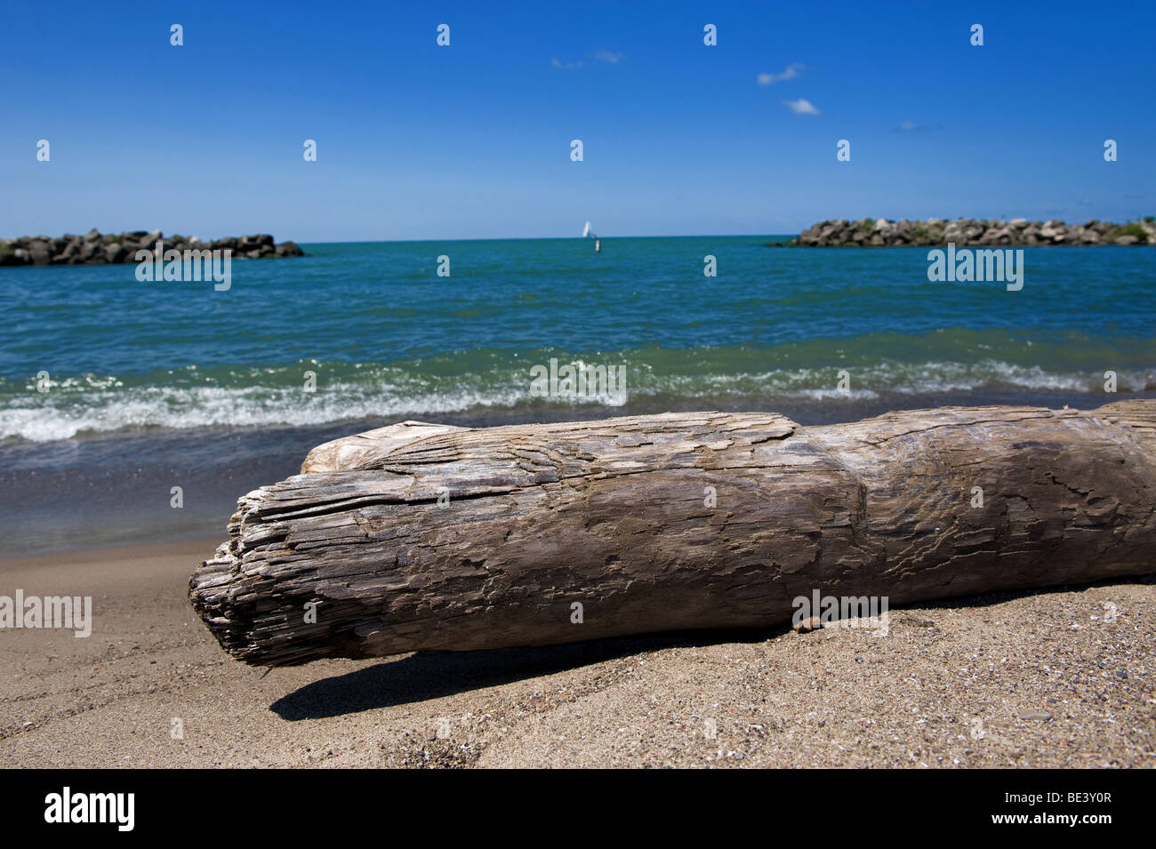 Pose de bois flotté sur la plage avec vue sur l'eau Banque D'Images