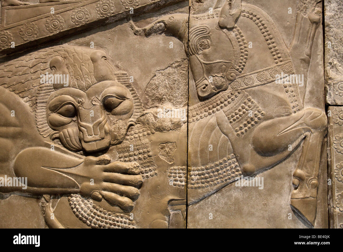 Lion dévorant un mur- bull soulagement de Persépolis, le British Museum Banque D'Images