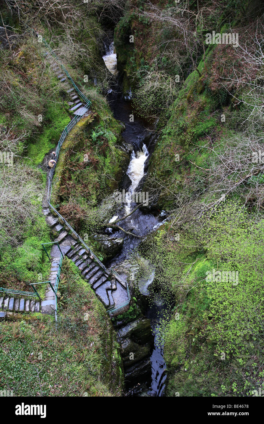 Les gorges de Pont du Diable et sur la rivière Mynach, Ceridigeon à Pontarfynach, au Pays de Galles Banque D'Images