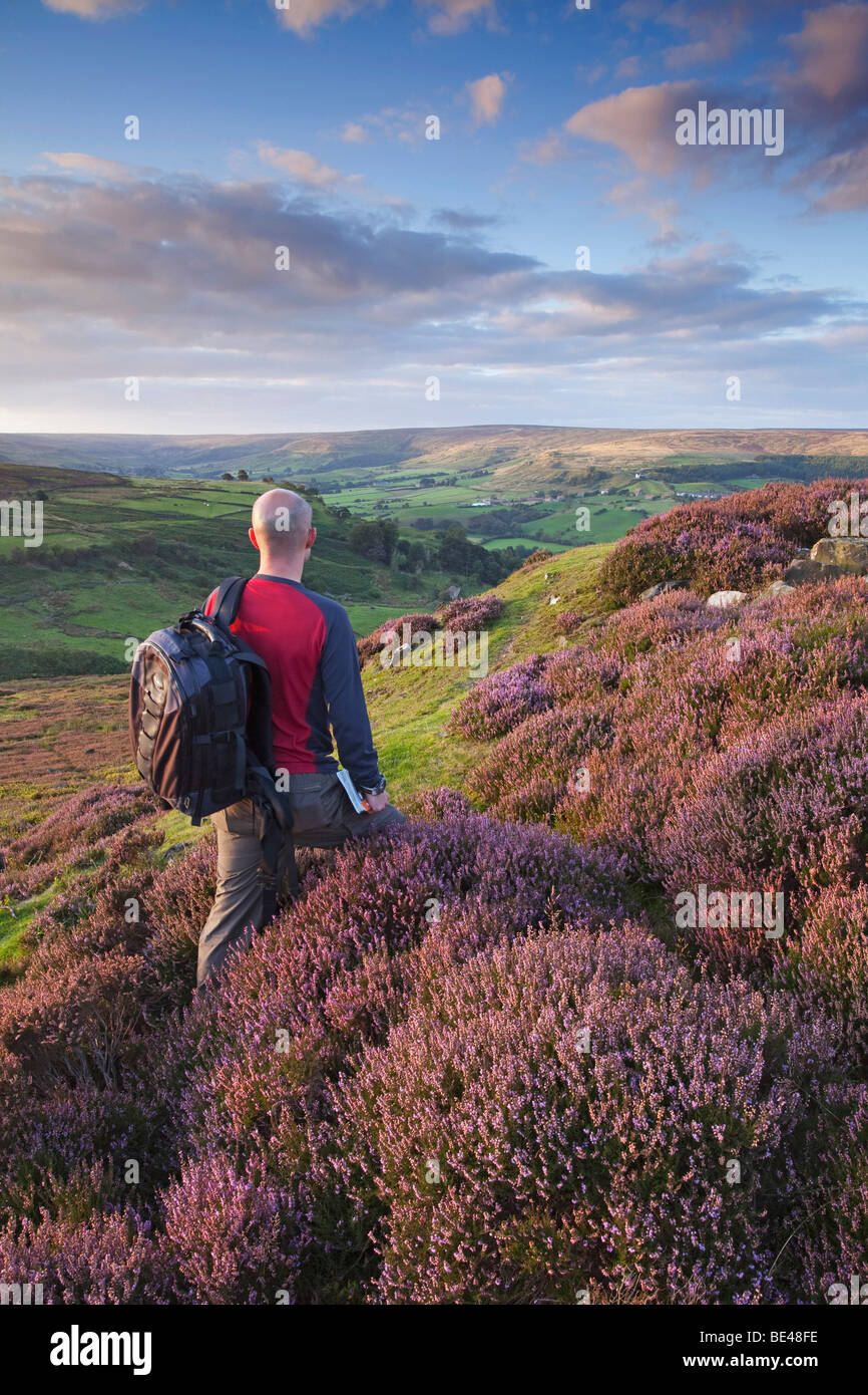 Un marcheur à l'extérieur, vers Rosedale en le North York Moors National Park le soir, North Yorkshire, England, UK Banque D'Images