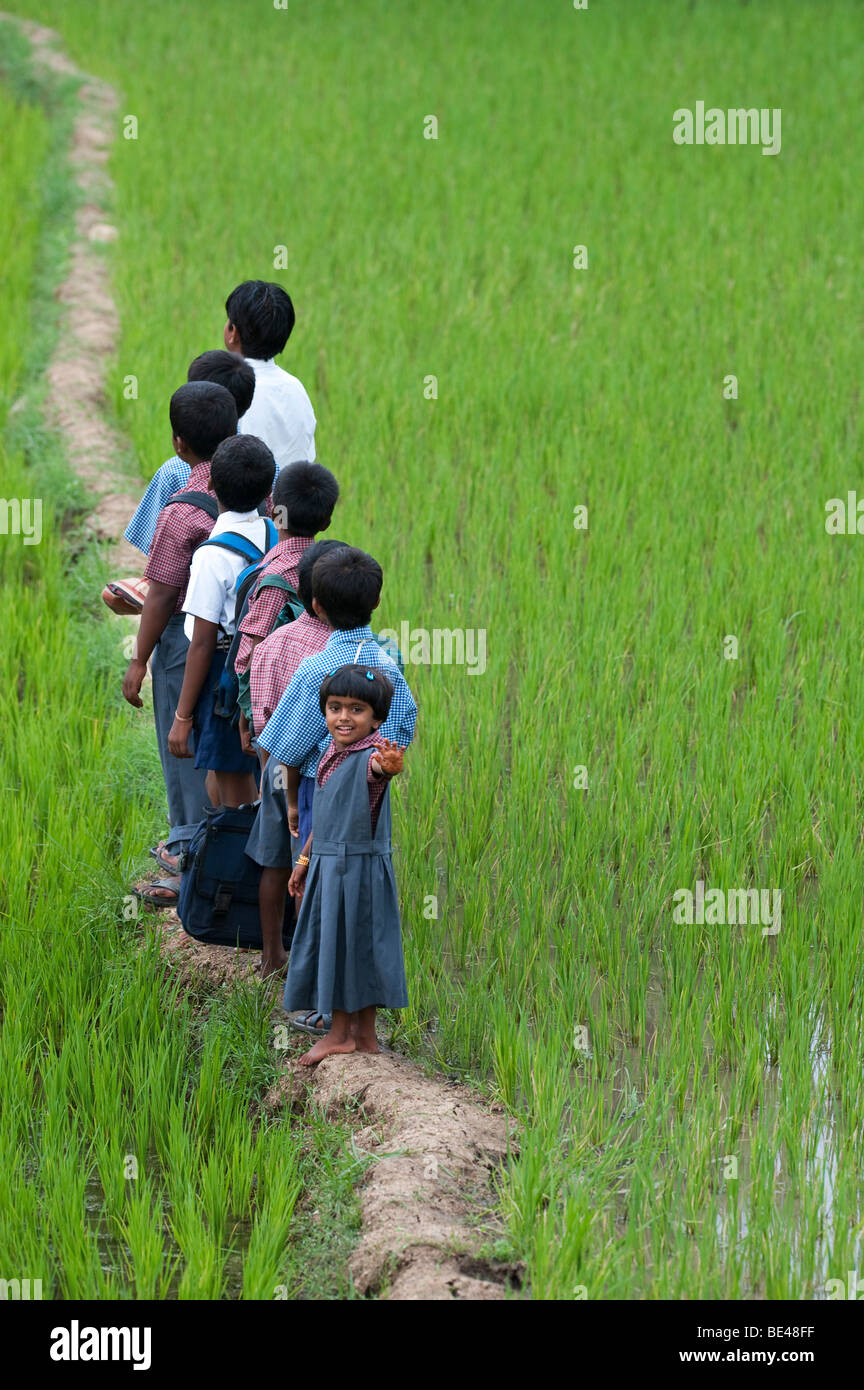 Petite fille indienne forme à l'arrière d'une ligne d'enfants de l'école indienne de marcher à travers une rizière. L'Andhra Pradesh, Inde Banque D'Images