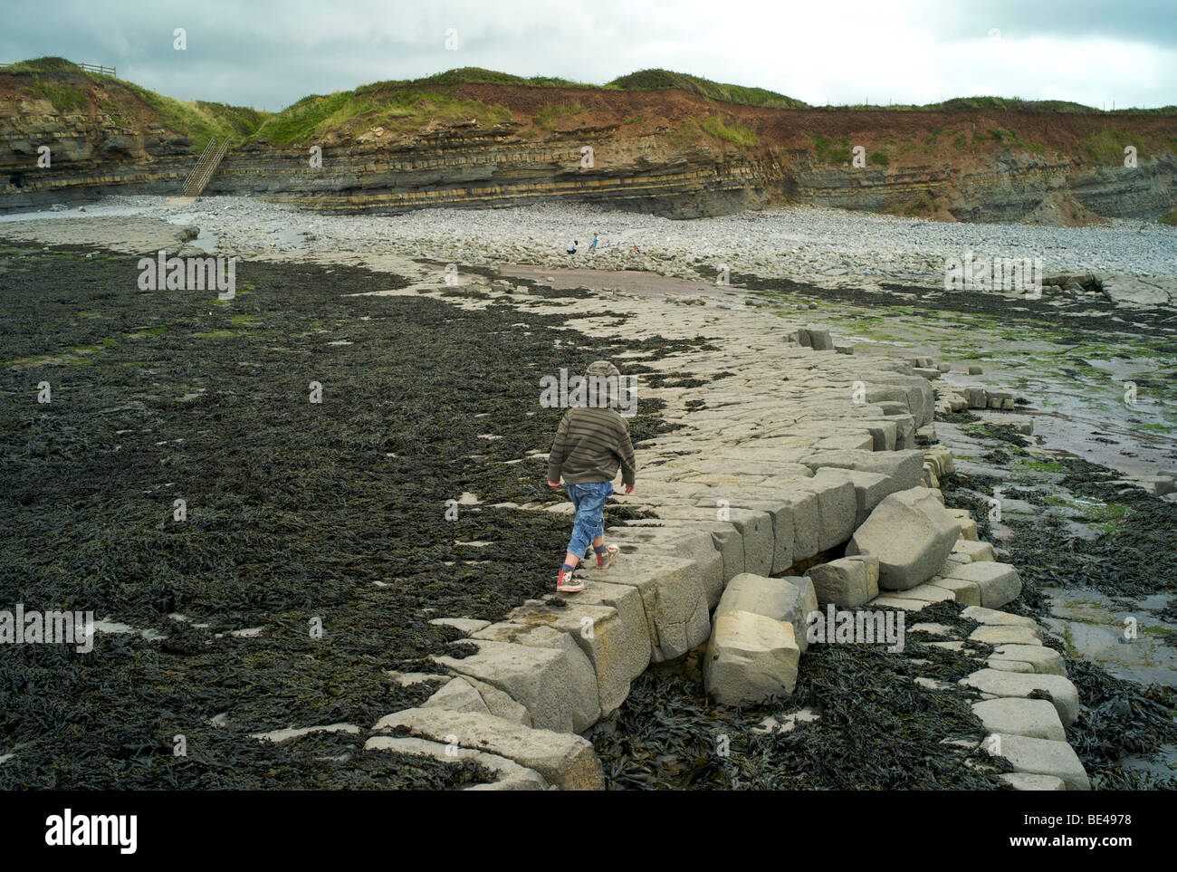 Plages de chasse aux fossiles près de East Quantoxhead sur Bridgwater Bay dans le Somerset UK Banque D'Images