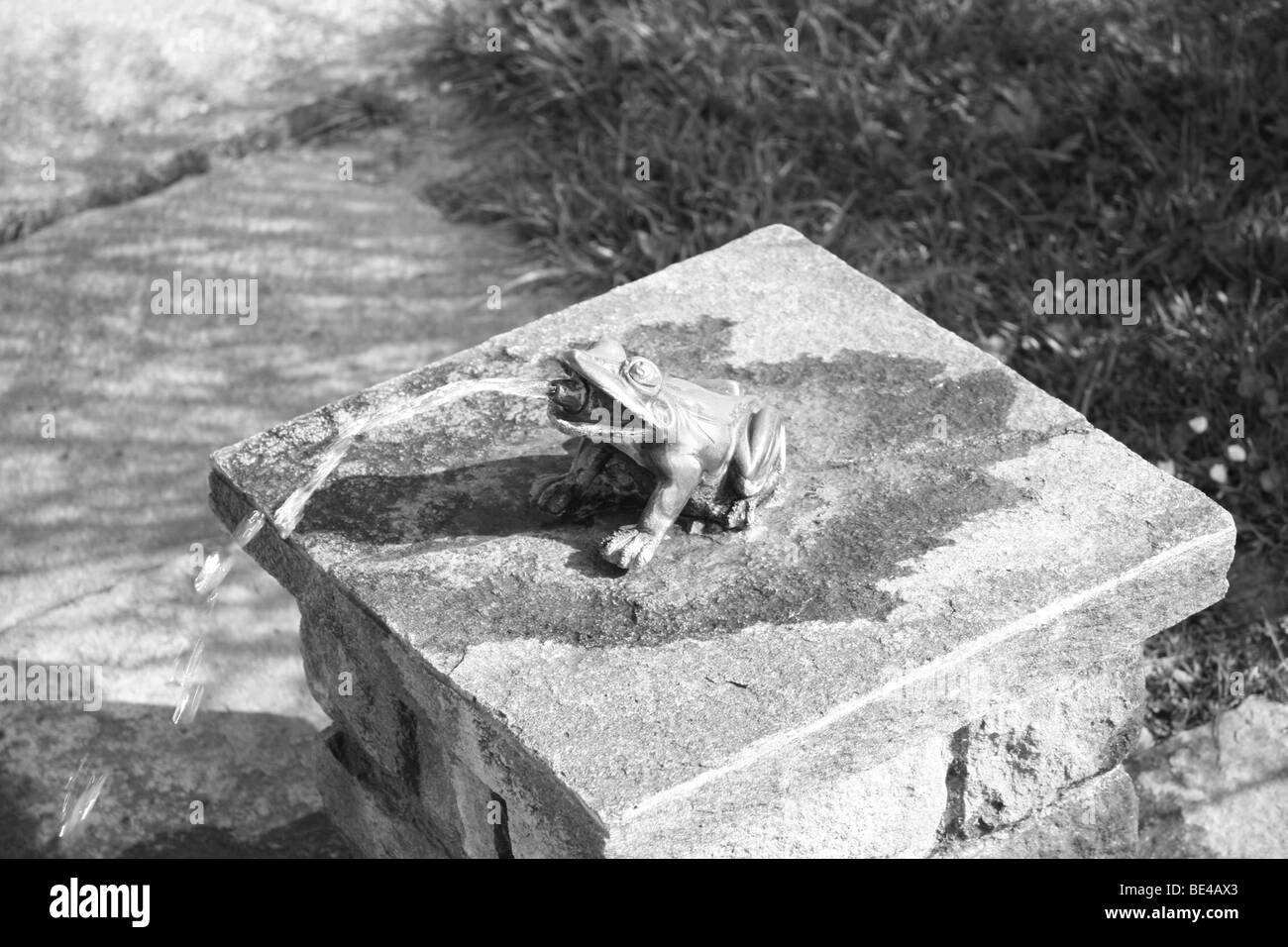 Fontaine grenouille,suisse Banque D'Images