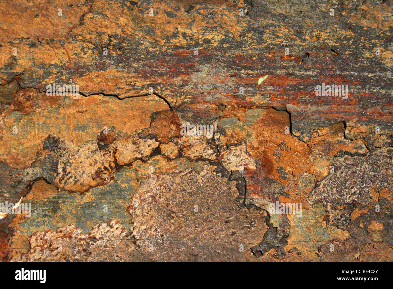 Les profils de couleur rouille sur la roche métamorphique ardoise. Prises à Soweto, Johannesburg, Afrique du Sud Banque D'Images