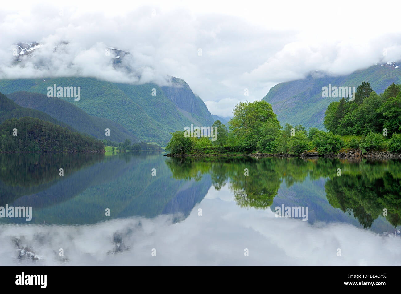 Forêt est reflétée dans le Bjorkedalsvatnet lac près de Volda, Norway, Scandinavia, Europe Banque D'Images
