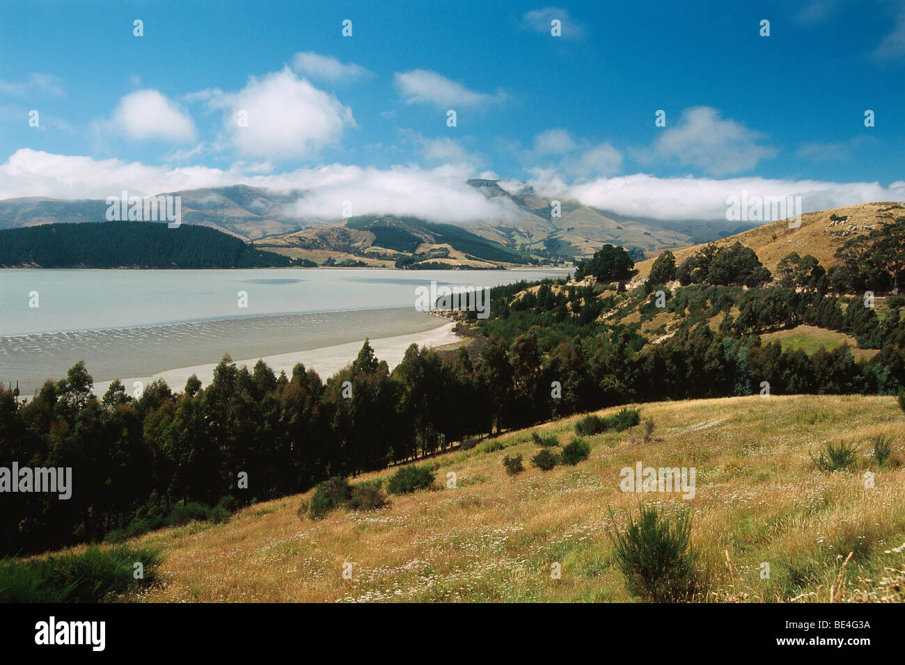 Nouvelle Zélande - Ile du Sud - Canterbury - La péninsule de Banks - Lyttelton Banque D'Images