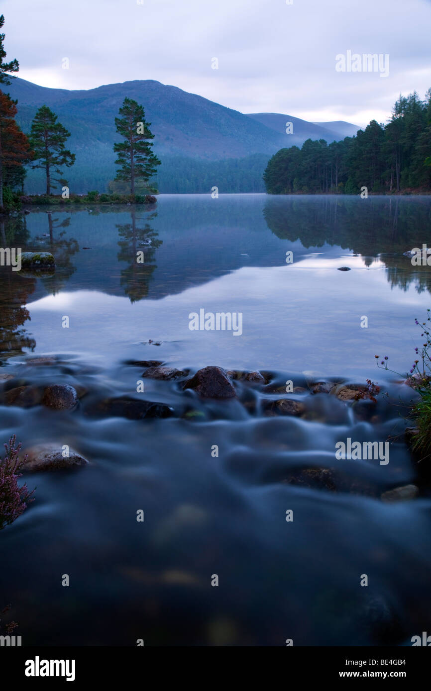 Tôt le matin, vue sur Loch an Eilein dans les Cairngorms écossais Banque D'Images