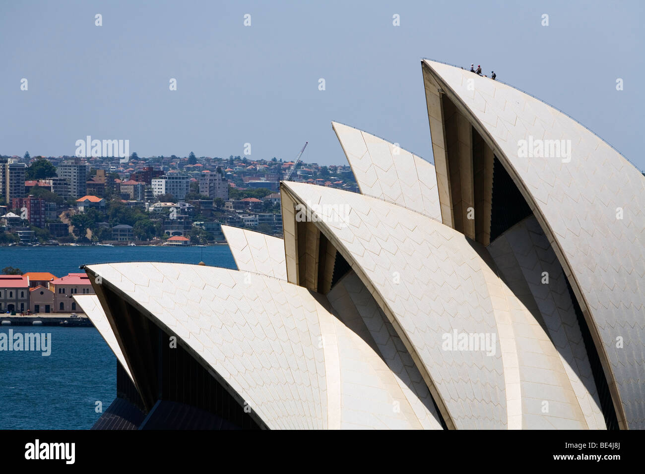 L'arches emblématiques de l'Opéra de Sydney. Circular Quay, Sydney, New South Wales, Australia Banque D'Images