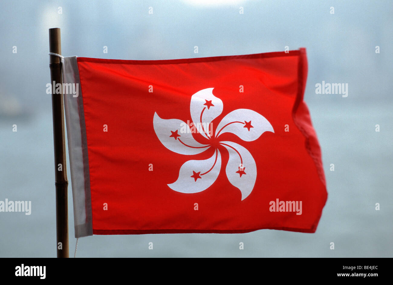 Drapeau Hong Kong, Star Ferry de Kowloon, Hong Kong, Chine, Asie, Banque D'Images