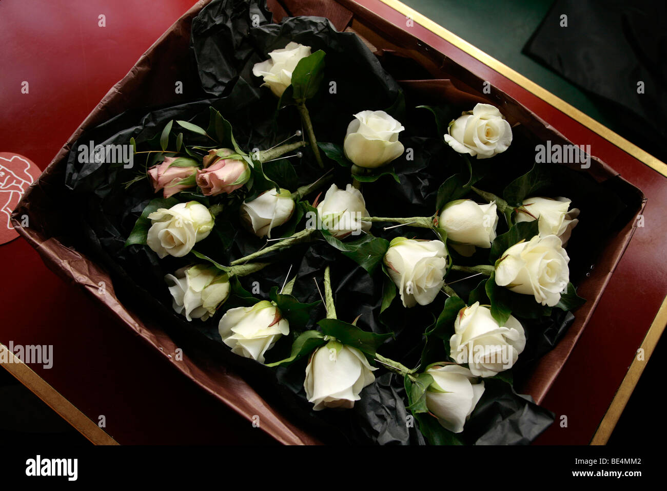 Bouton de Rose trous dans une boîte Banque D'Images