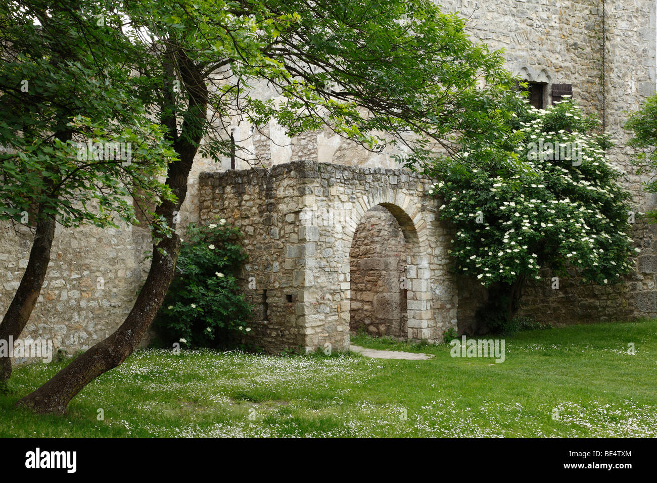 Ruines du château, Hainburg an der Donau, Basse Autriche, Autriche, Europe Banque D'Images