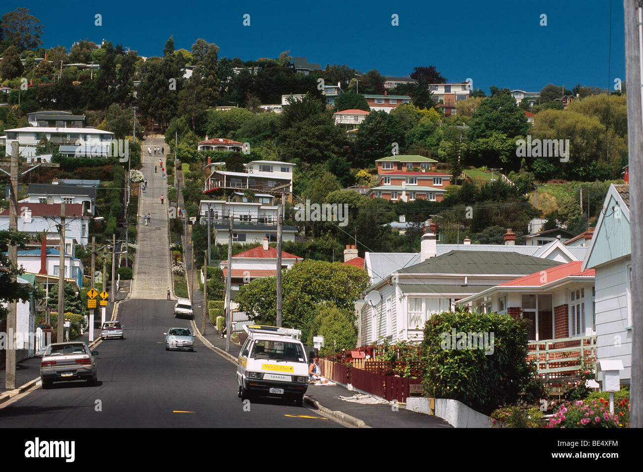 Nouvelle Zélande - Ile du Sud - Otago - Dunedin - Baldwin Street - la rue la plus raide au monde Banque D'Images