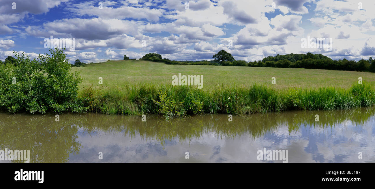 Les rives d'un fleuve, avec des buissons et des arbres. Banque D'Images