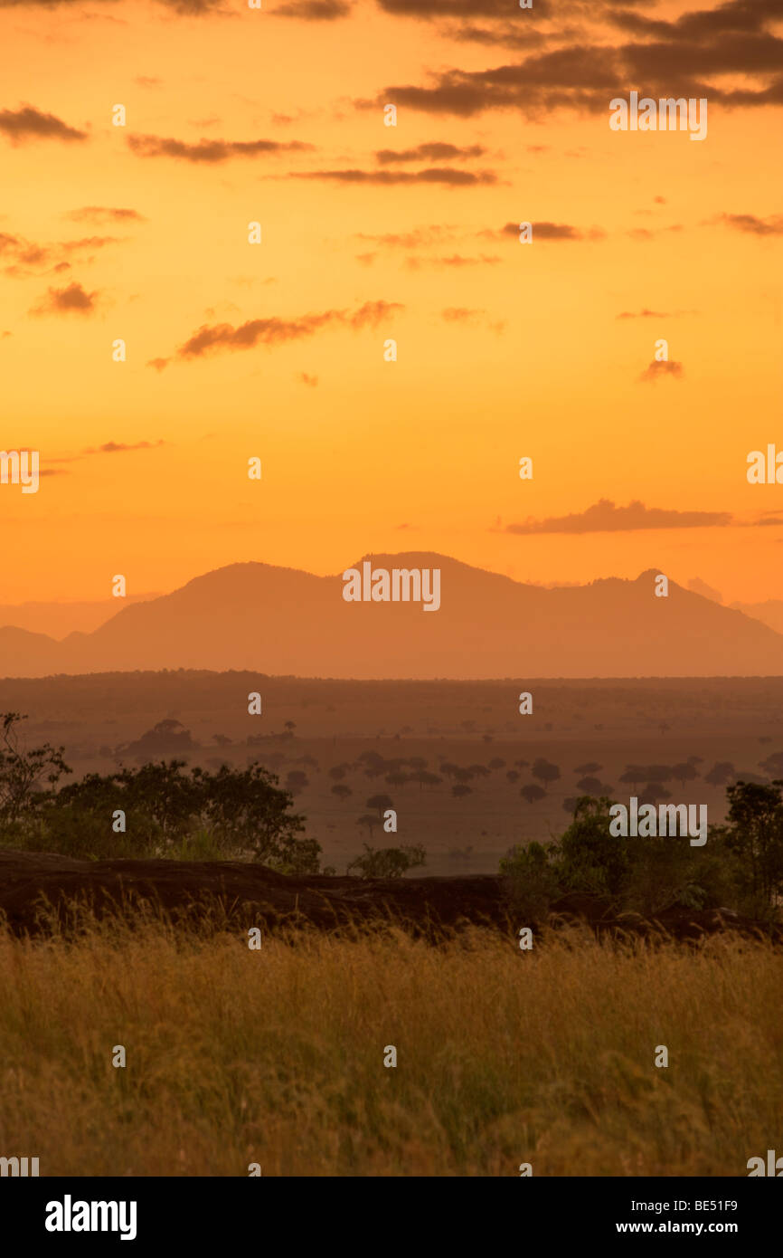 Mont Morungole mou vu depuis le Parc National de Kidepo Valley dans le nord de l'Ouganda à l'aube. Banque D'Images