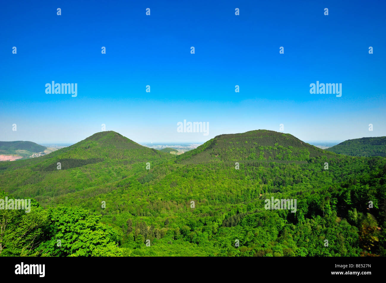 Vue panoramique depuis le château Burg Trifels, Annweiler, Naturpark Pfaelzerwald nature reserve, Palatinat, Rhénanie-Palatinat Banque D'Images
