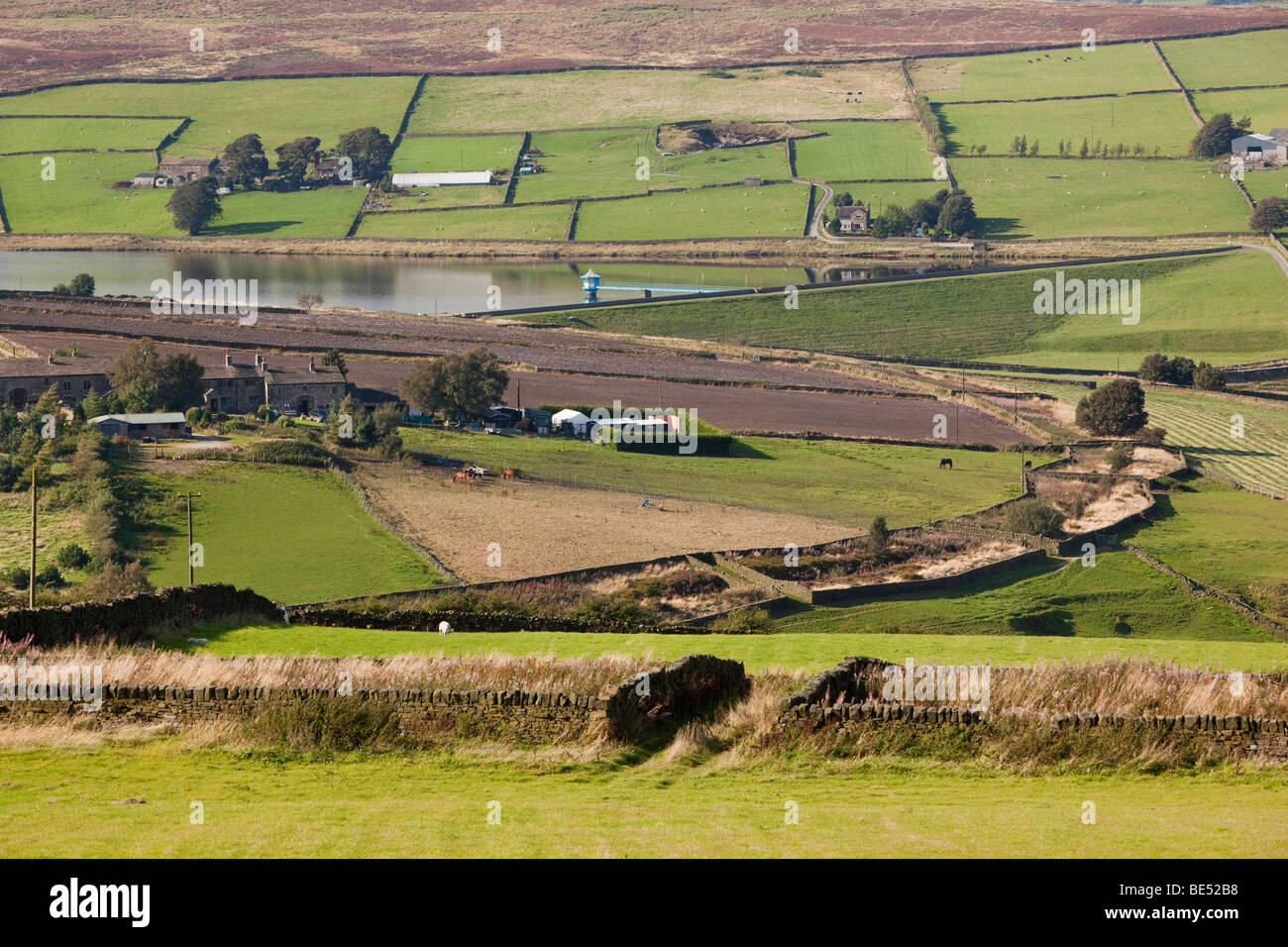 Royaume-uni, Angleterre, dans le Yorkshire, Oxenhhope, ferme à bord de la lande au-dessus du réservoir d'Leeshaw ferme Banque D'Images