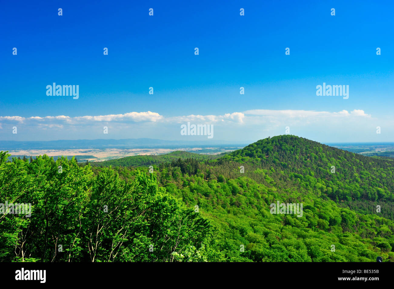 Ruines du château de Guttenberg, vue panoramique sur la forêt du Palatinat et de la vallée du Rhin, Oberotterbach, Naturpark Pfaelzerwald na Banque D'Images
