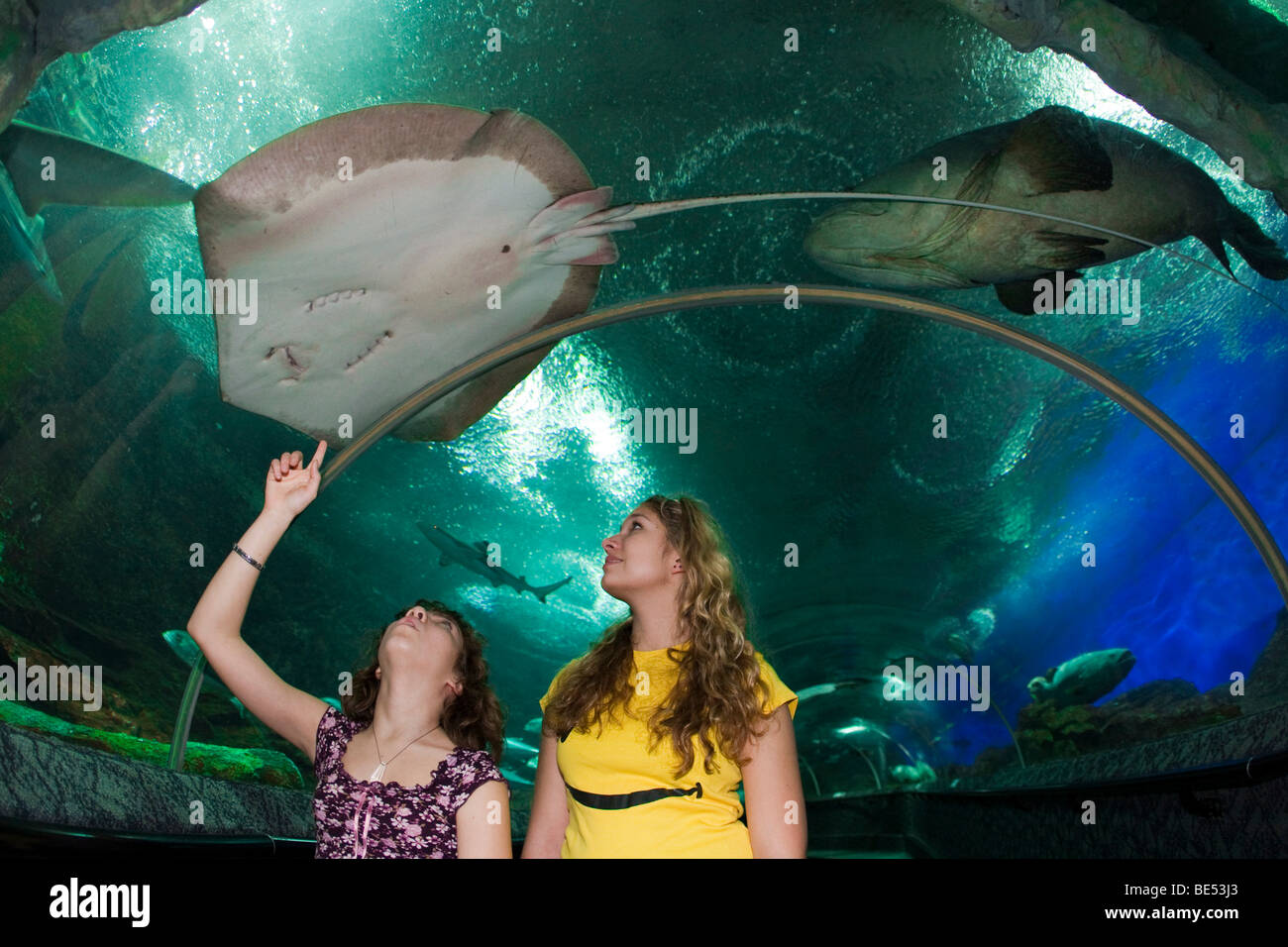 Les jeunes gens à l'écoute des poissons dans un aquarium, Sentosa, Singapour, parc d'Asie du sud-est Banque D'Images