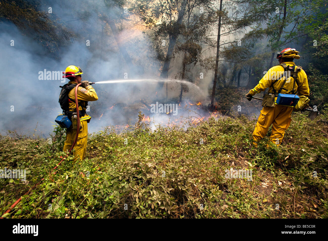 Pompiers forestiers à la California wildfire Lockheed dans Santa Cruz ...