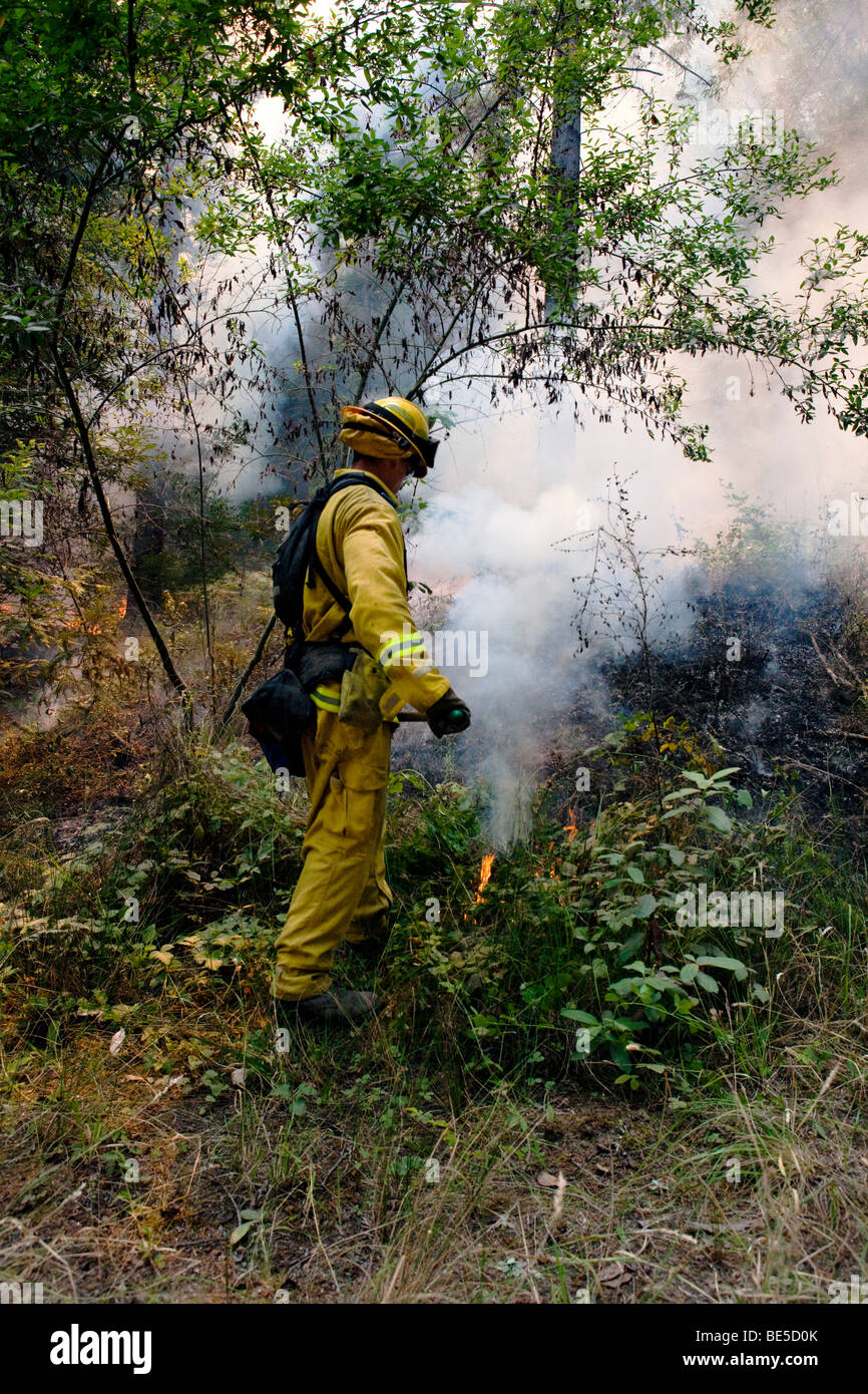 Pompiers forestiers à la California wildfire Lockheed dans Santa Cruz ...