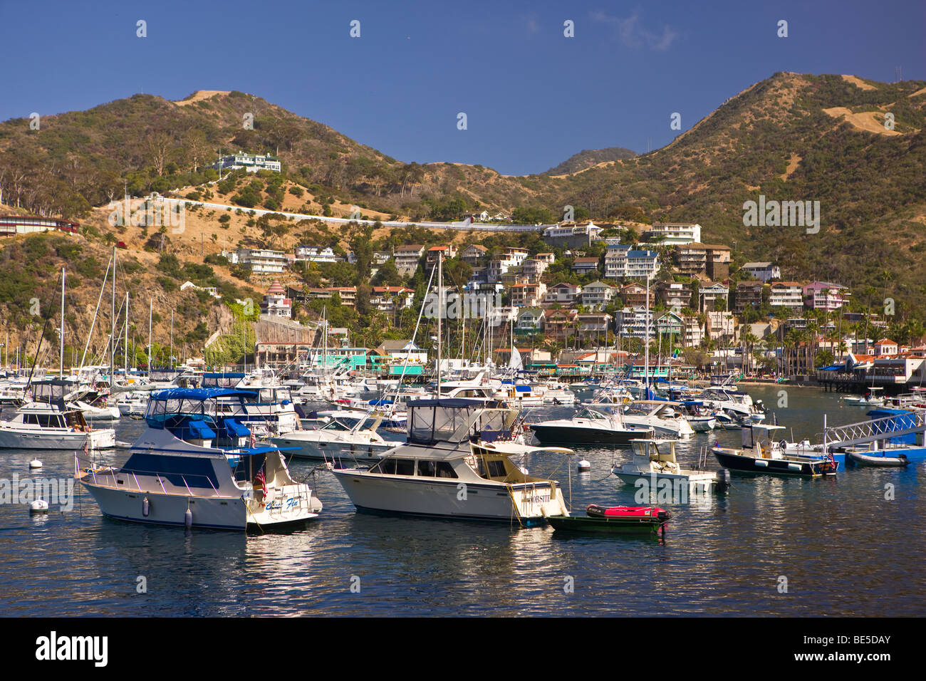 AVALON, CA, USA - bateaux au port, île de Santa Catalina Banque D'Images