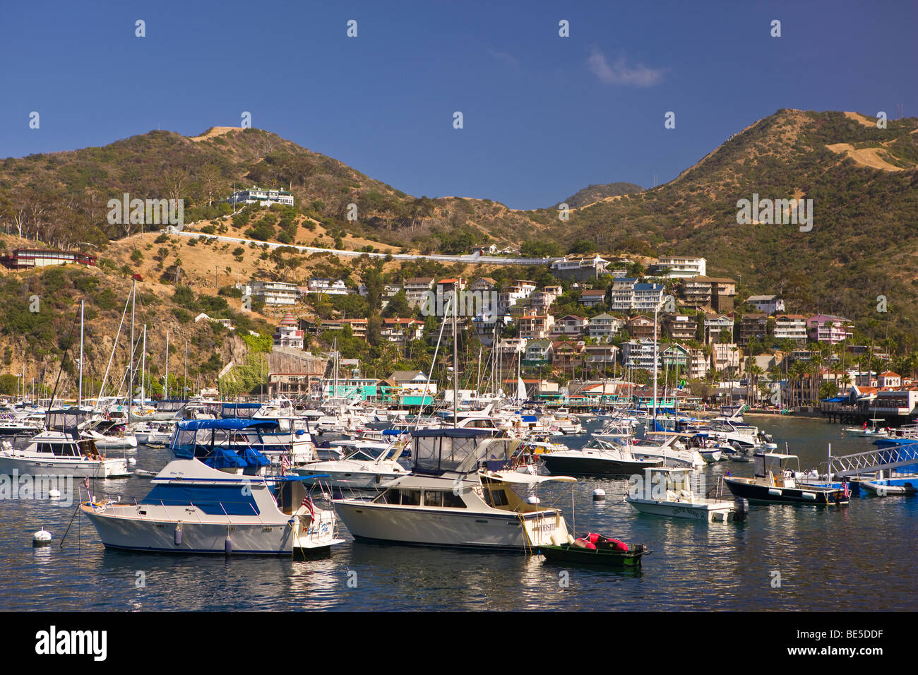 AVALON, CA, USA - bateaux au port, île de Santa Catalina Banque D'Images