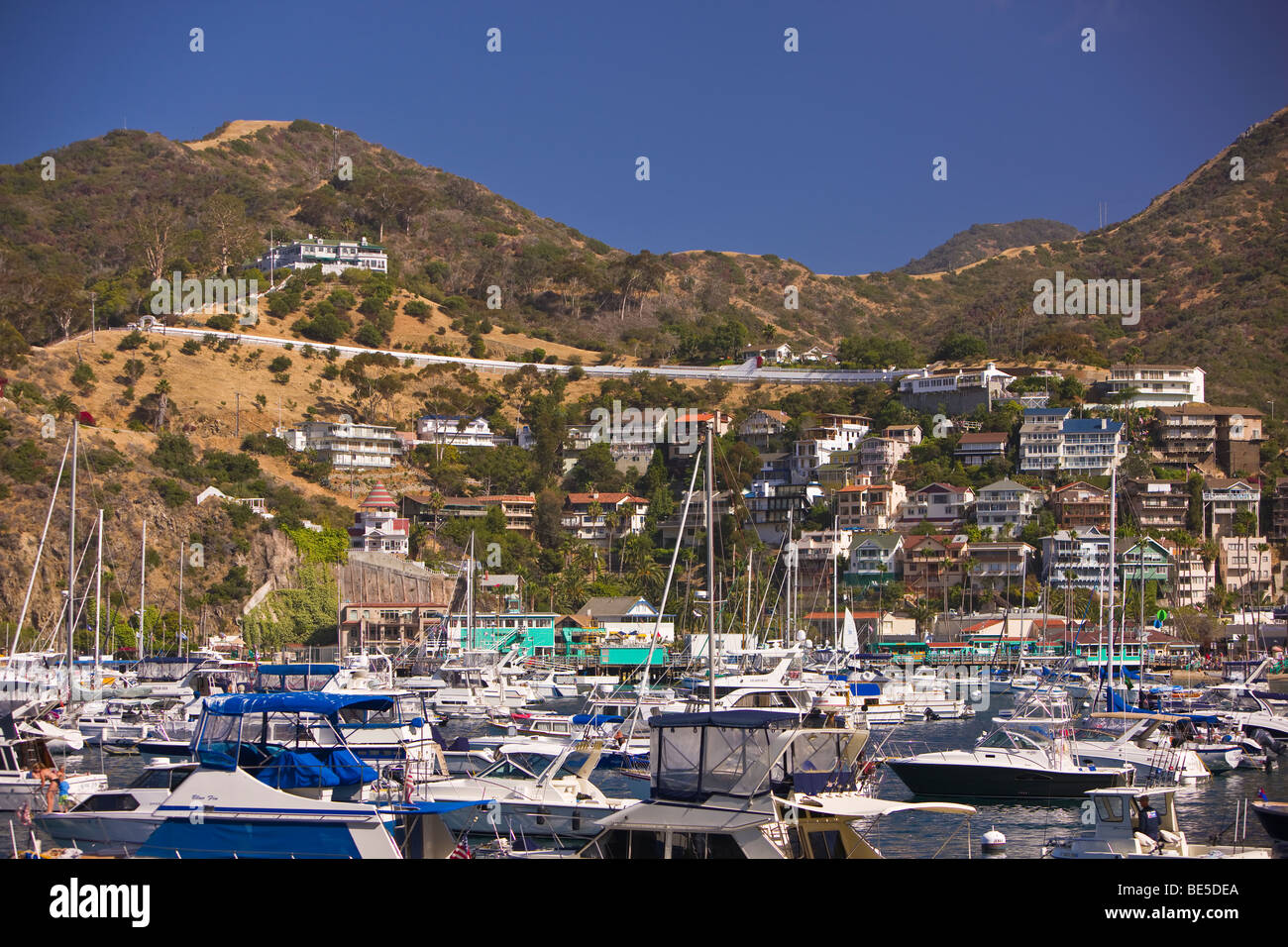 AVALON, CA, USA - Bateaux de plaisance dans la région de Harbour, île de Santa Catalina Banque D'Images
