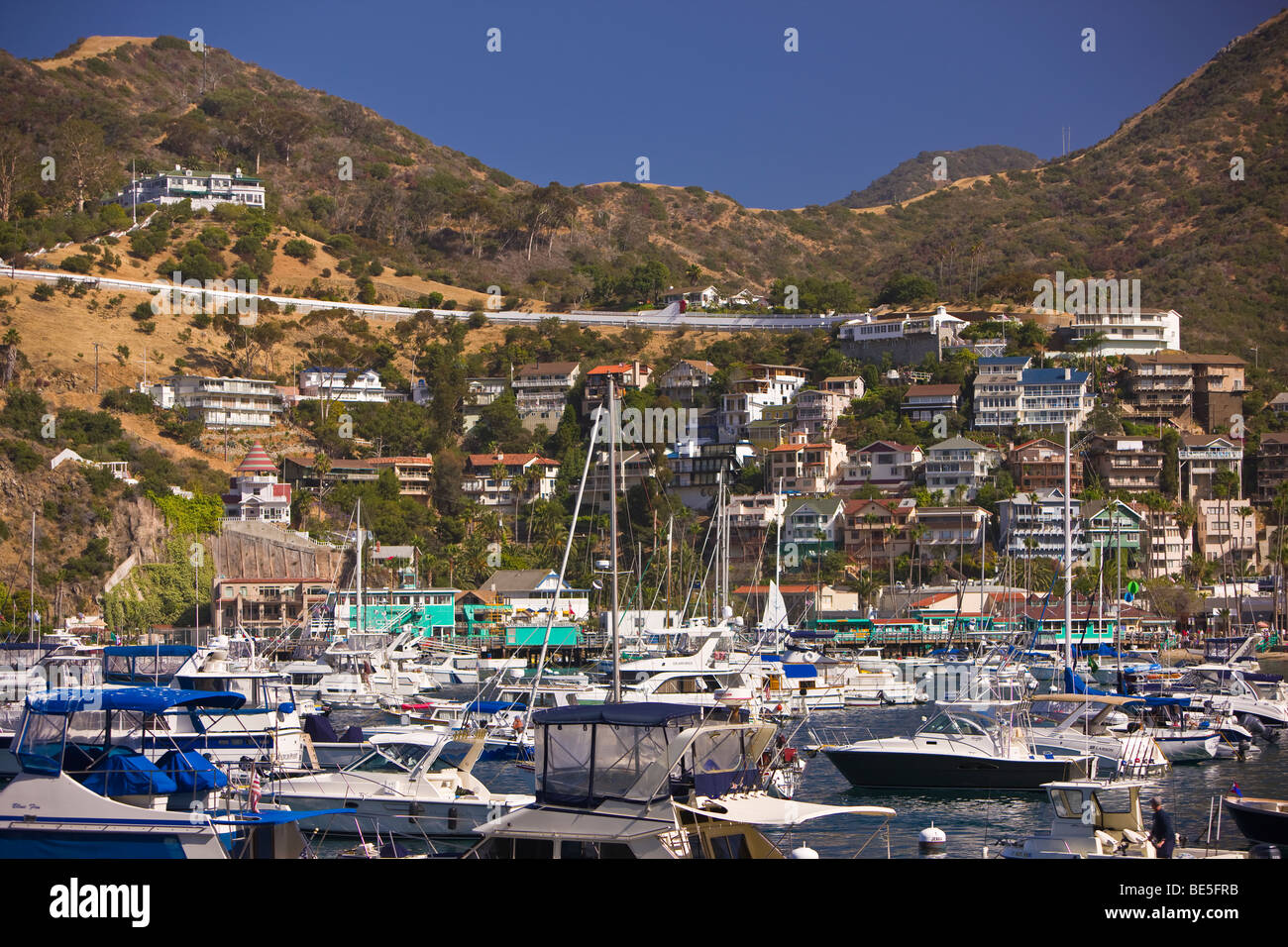 AVALON, CA, USA - Bateaux de plaisance dans la région de Harbour, île de Santa Catalina Banque D'Images