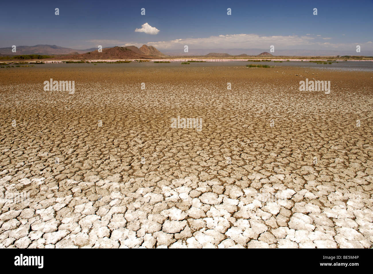 La boue sèche, craquelée lit du lac Elementaita près de Nakuru au Kenya occidental. Banque D'Images