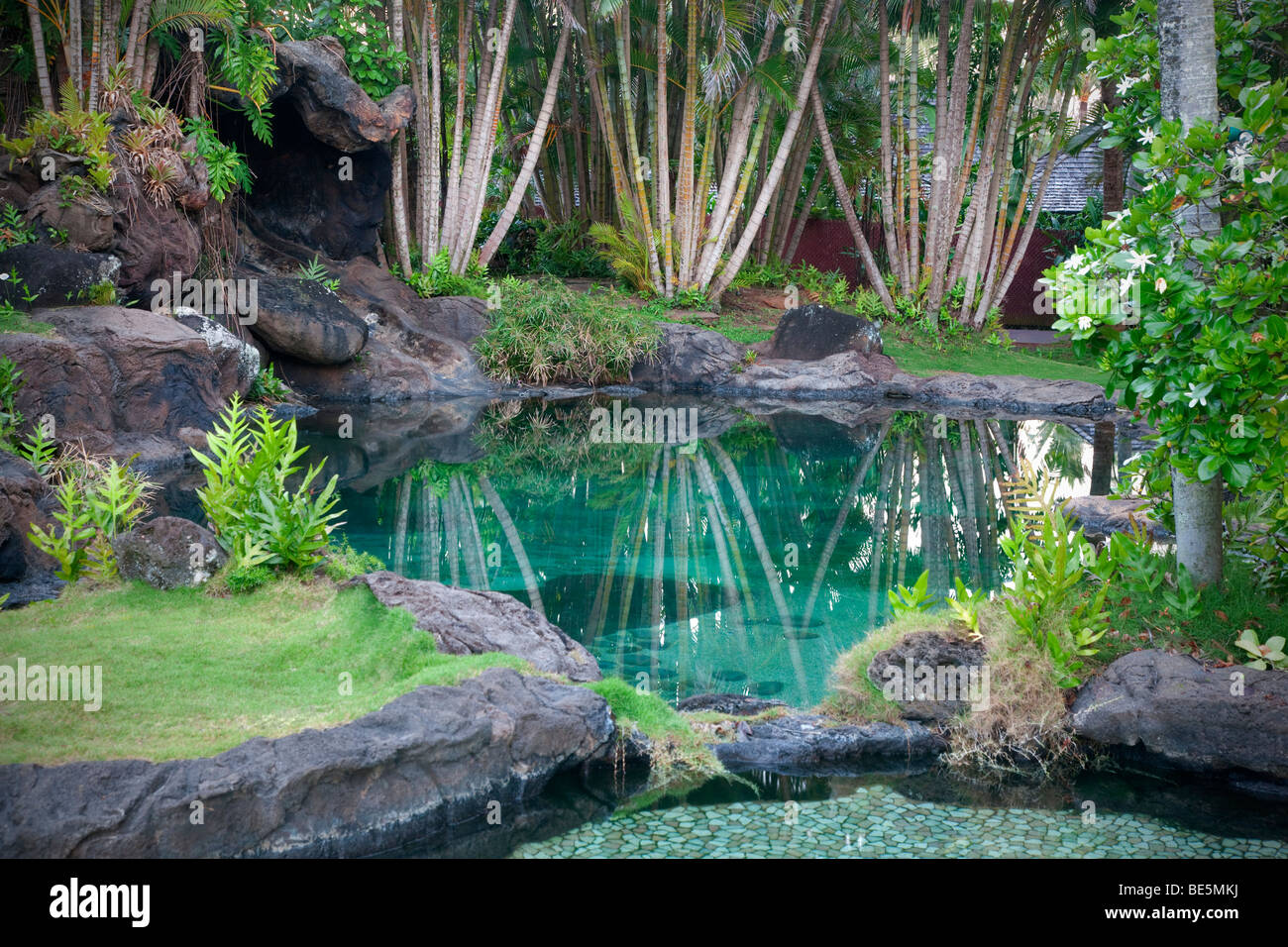 Étang et jardin à Na Aina Kai Botanical Gardens. Kauai, Hawaii Banque D'Images