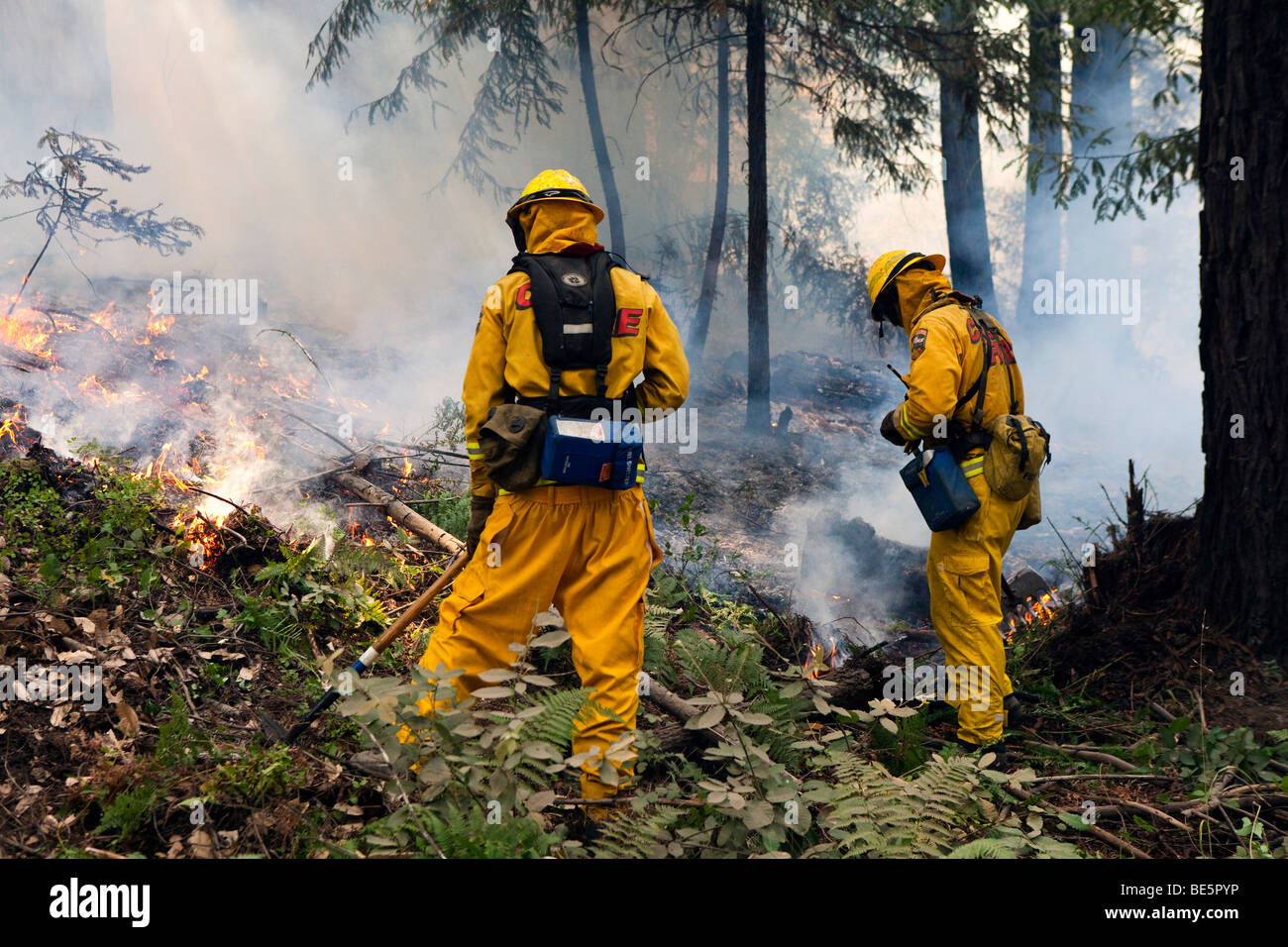Pompiers forestiers à la California wildfire Lockheed dans Santa Cruz ...