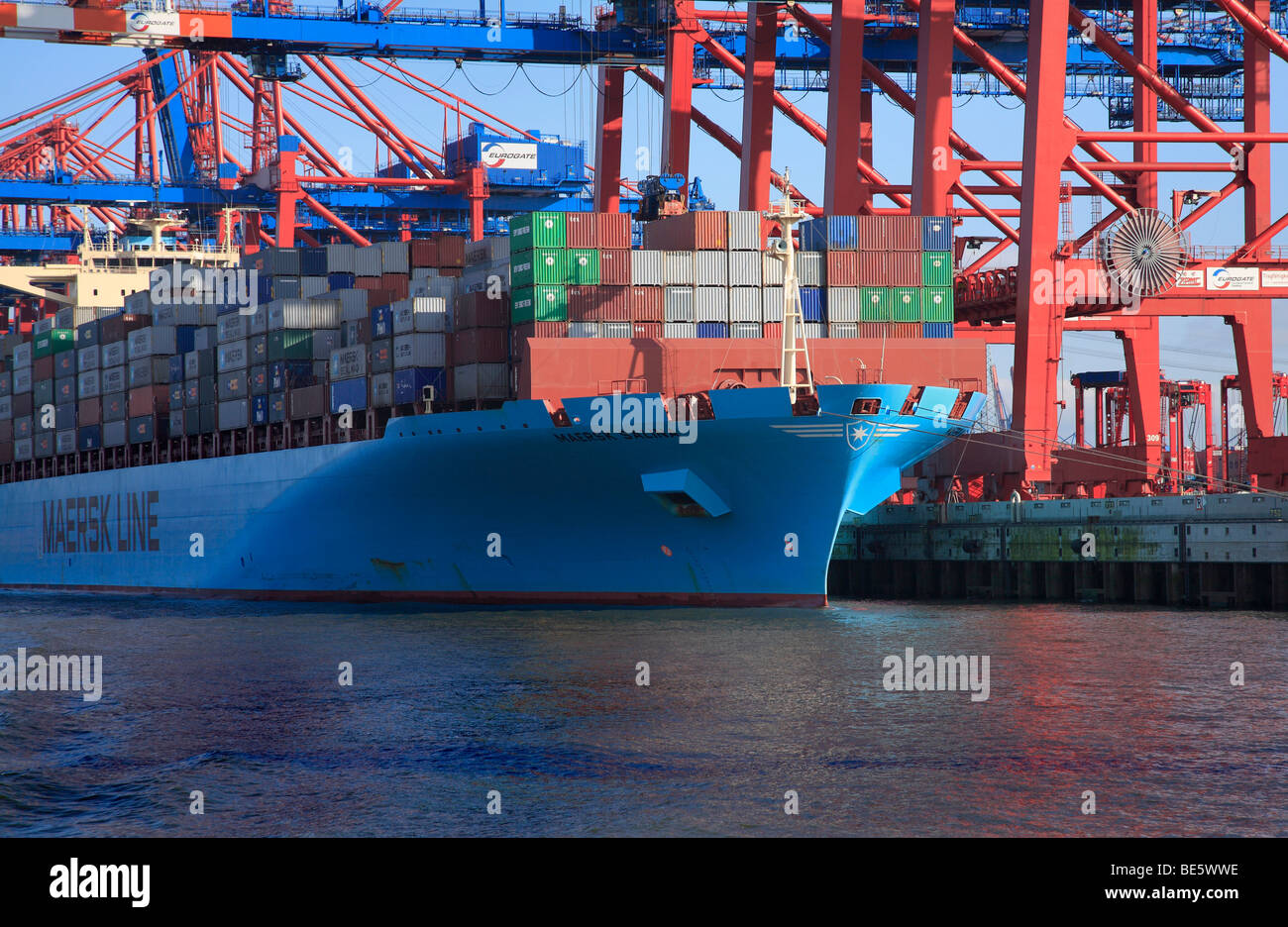 Grand récipient de bateau, Maersk Line, Maersk Salina, étant chargé, EUROGATE Container Terminal, des ponts pour conteneurs, conteneurs, port Banque D'Images