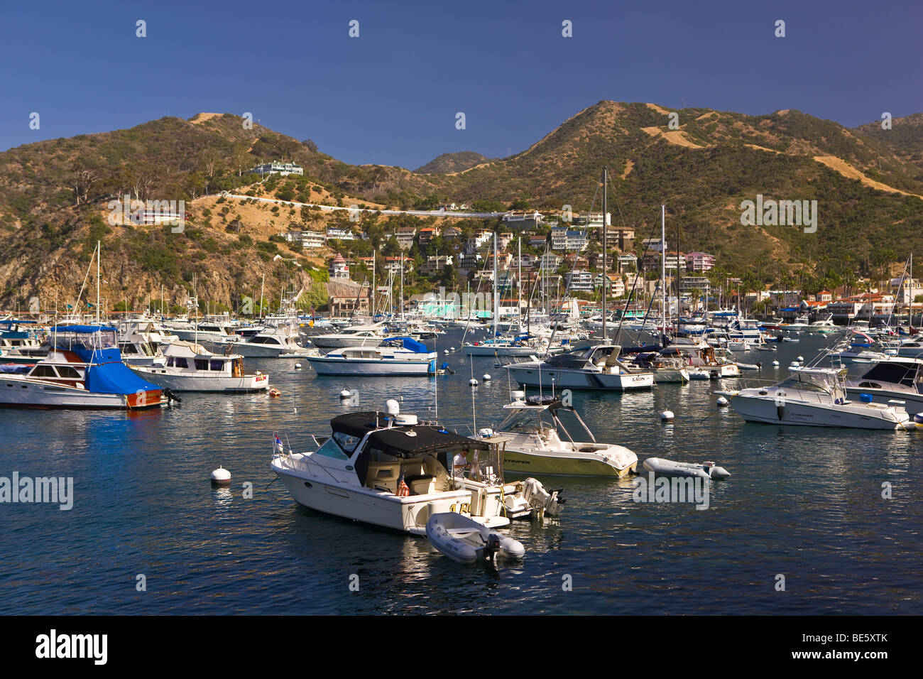 AVALON, CA, USA - Bateaux de plaisance dans la région de Harbour, île de Santa Catalina Banque D'Images