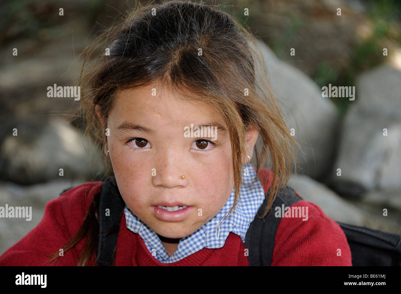 Fille de l'école élémentaire, Shey, Ladakh, Inde, Himalaya, Asie Banque D'Images