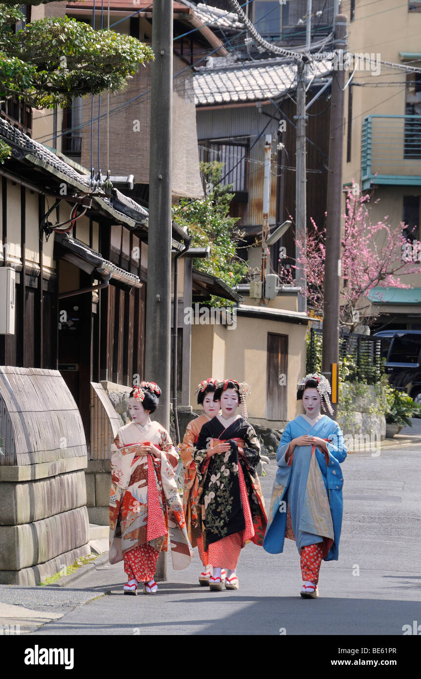 Maikos, geishas dans la formation, dans le quartier de Gion, Kyoto, Japon, Asie Banque D'Images