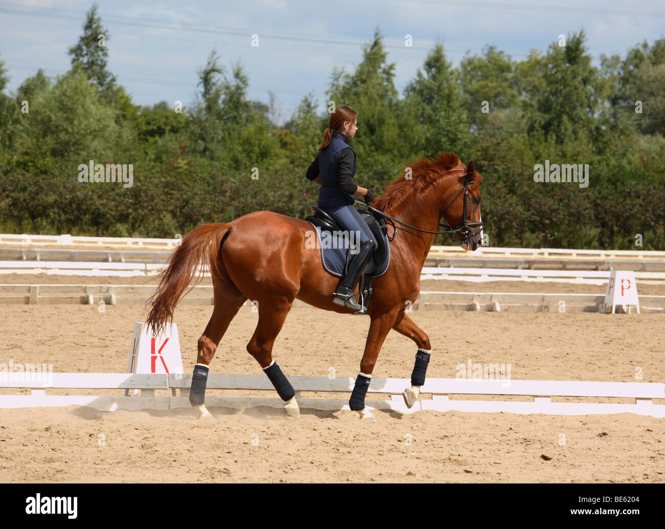 Horse Rider excersizing Banque D'Images