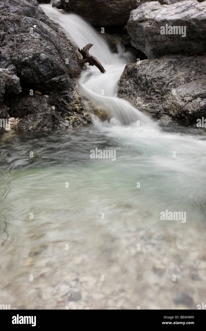 Bois flottant dans le ruisseau Vomper, gamme de Karwendel, Tyrol du Nord, l'Autriche, Europe Banque D'Images